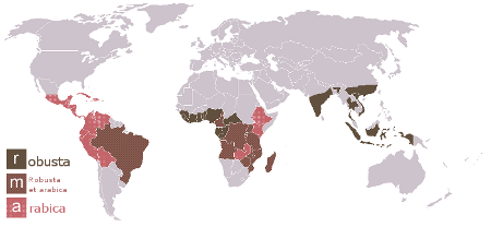 Carte origine caf